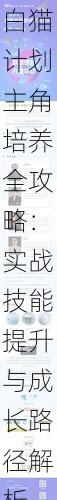 白猫计划主角培养全攻略:实战技能提升与成长路径解析