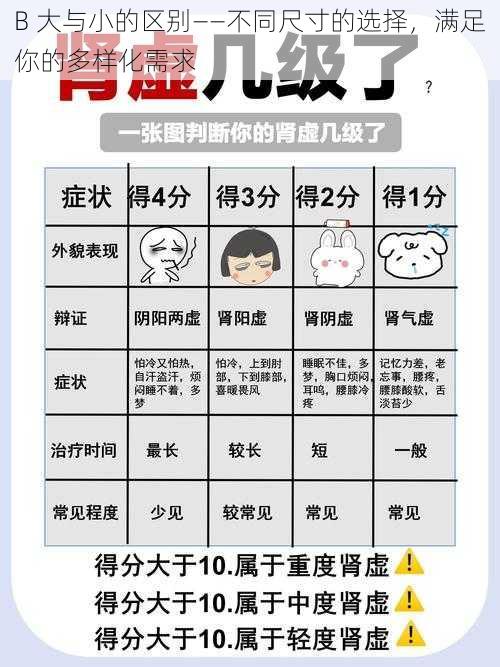 B 大与小的区别——不同尺寸的选择,满足你的多样化需求