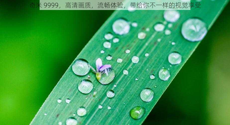 奇米 9999,高清画质,流畅体验,带给你不一样的视觉享受