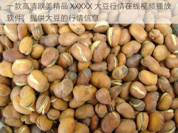 一款高清欧美精品 XXXXX 大豆行情在线视频播放软件,提供大豆的行情信息