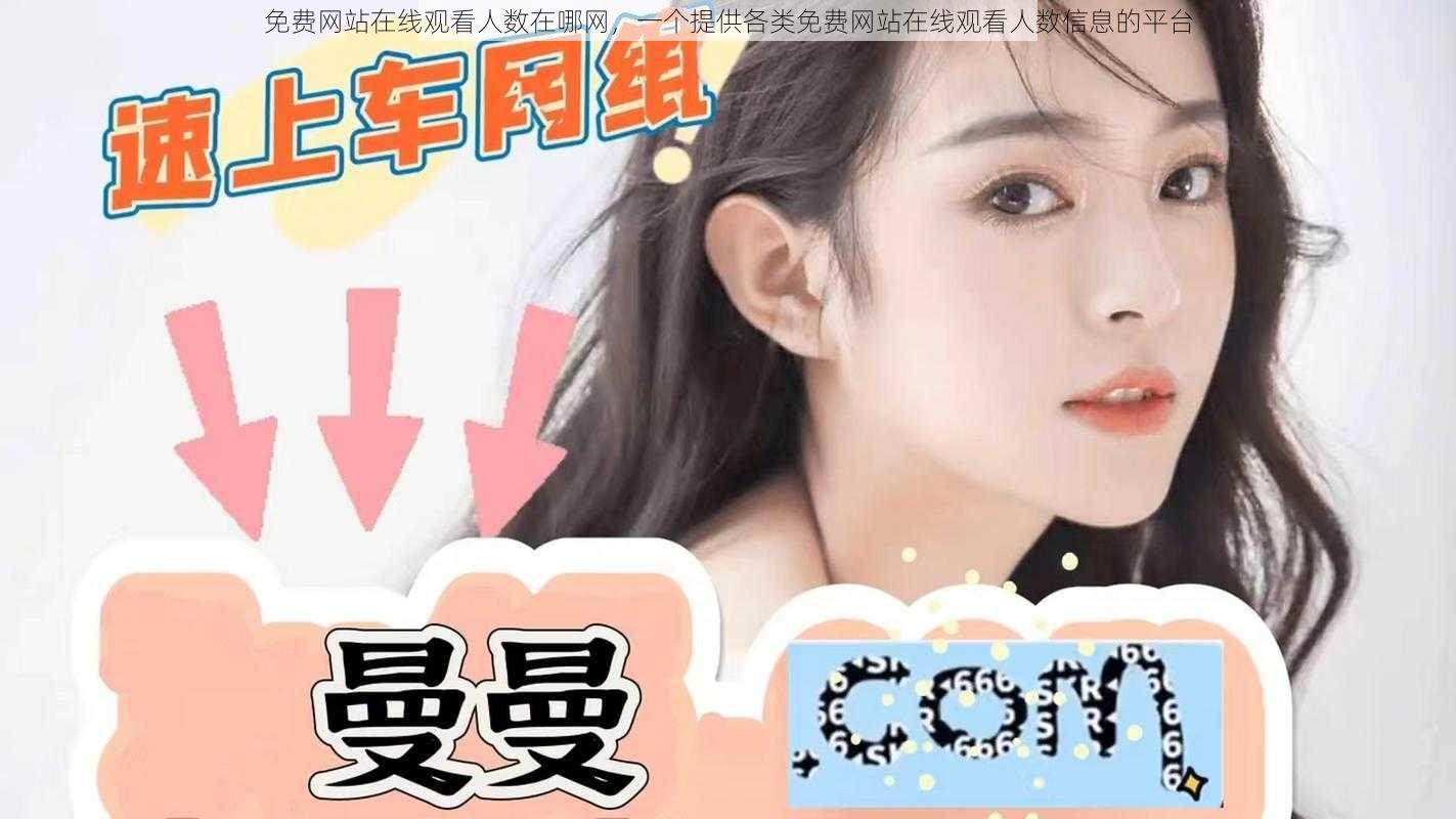 免费网站在线观看人数在哪网,一个提供各类免费网站在线观看人数信息的平台