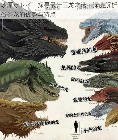 冰原守卫者:探寻最佳巨龙之选,深度解析各类龙的优势与特点