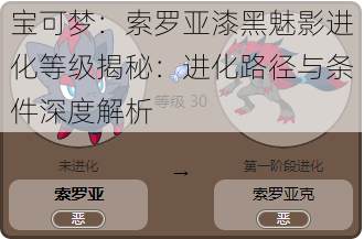 宝可梦:索罗亚漆黑魅影进化等级揭秘:进化路径与条件深度解析