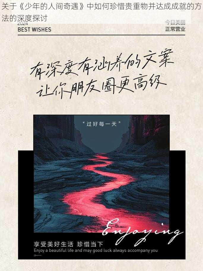 关于《少年的人间奇遇》中如何珍惜贵重物并达成成就的方法的深度探讨