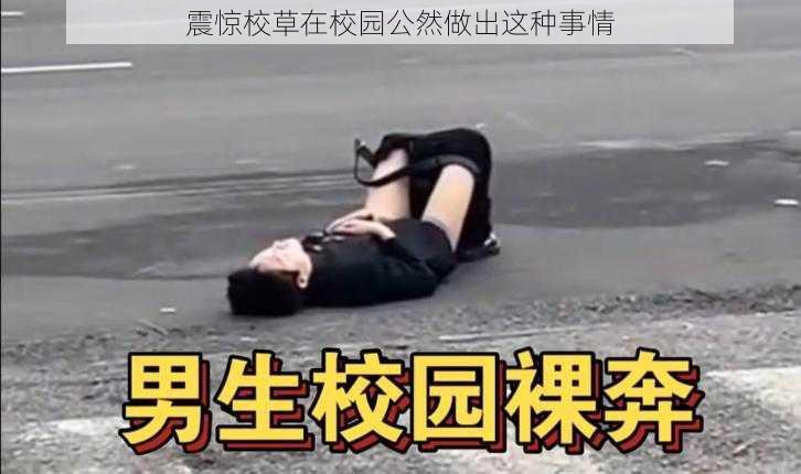 震惊校草在校园公然做出这种事情