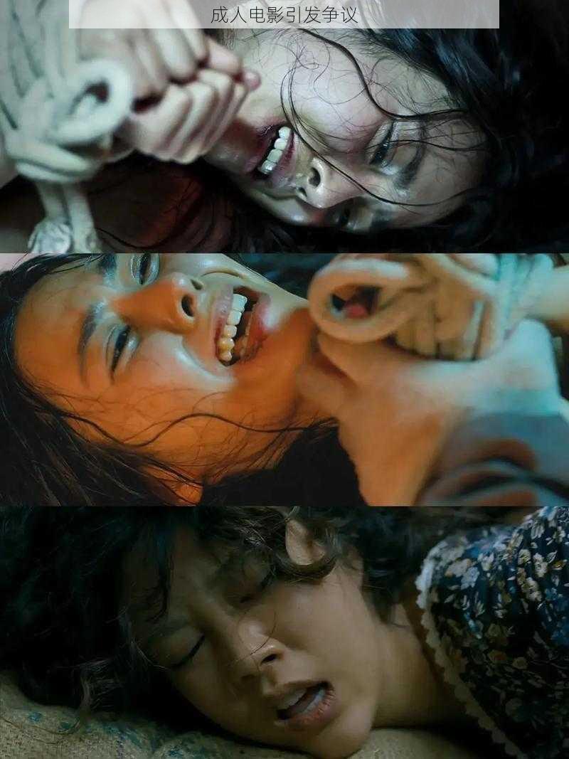 成人电影引发争议