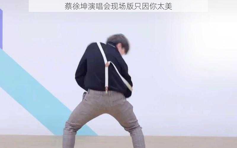 蔡徐坤演唱会现场版只因你太美