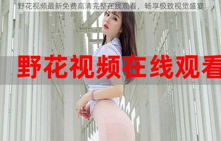 野花视频最新免费高清完整在线观看,畅享极致视觉盛宴