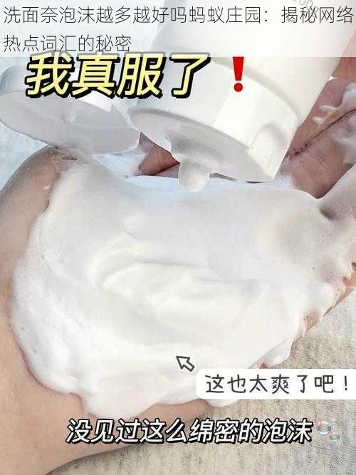 洗面奈泡沫越多越好吗蚂蚁庄园:揭秘网络热点词汇的秘密