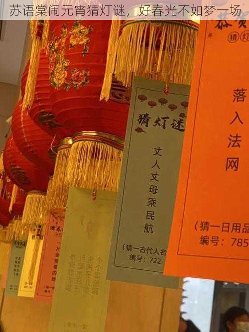 苏语棠闹元宵猜灯谜,好春光不如梦一场