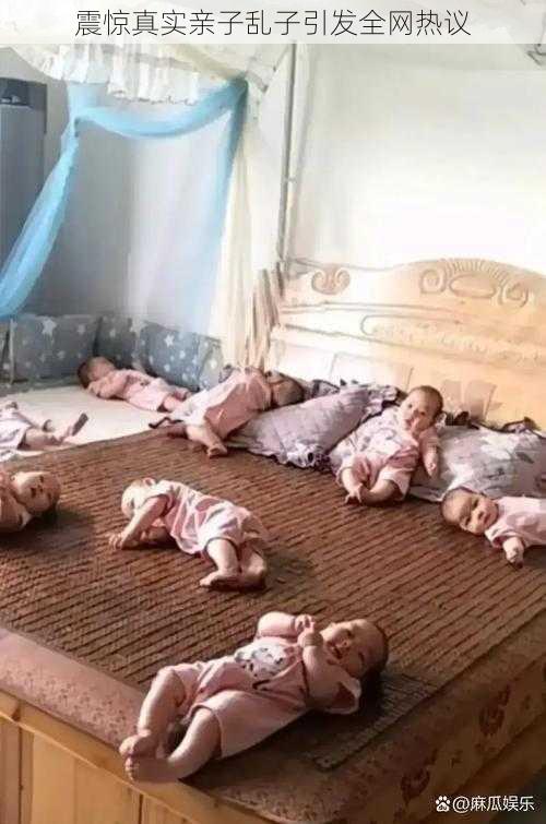 震惊真实亲子乱子引发全网热议