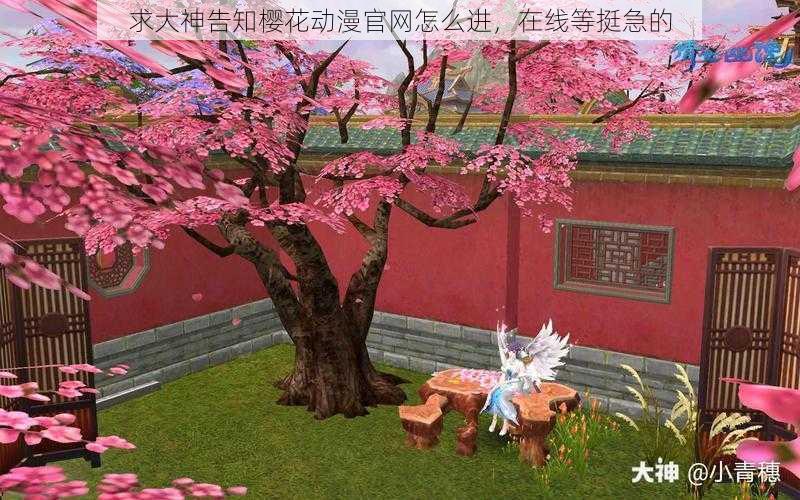求大神告知樱花动漫官网怎么进,在线等挺急的