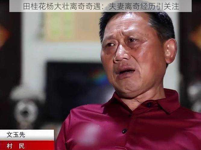 田桂花杨大壮离奇奇遇:夫妻离奇经历引关注