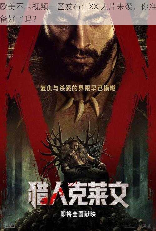 欧美不卡视频一区发布:XX 大片来袭,你准备好了吗?