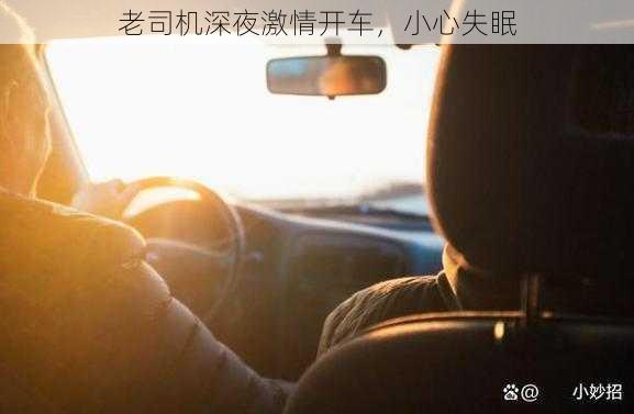 老司机深夜激情开车,小心失眠