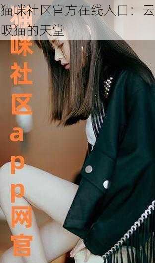猫咪社区官方在线入口:云吸猫的天堂