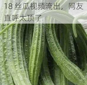 18 丝瓜视频流出,网友直呼太顶了