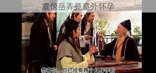 震惊岳弄竟意外怀孕