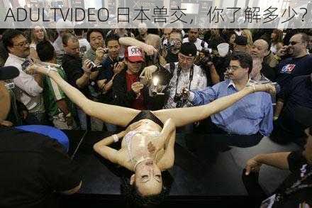 ADULTVIDEO 日本兽交,你了解多少?