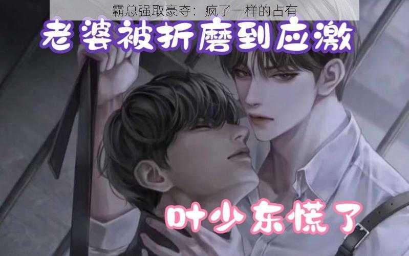 霸总强取豪夺:疯了一样的占有