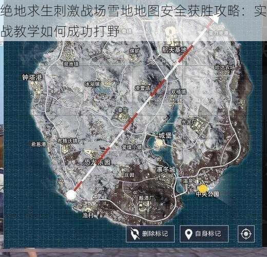 绝地求生刺激战场雪地地图安全获胜攻略:实战教学如何成功打野
