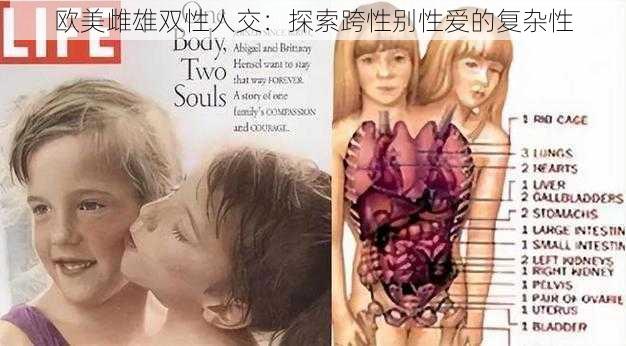 欧美雌雄双性人交:探索跨性别性爱的复杂性