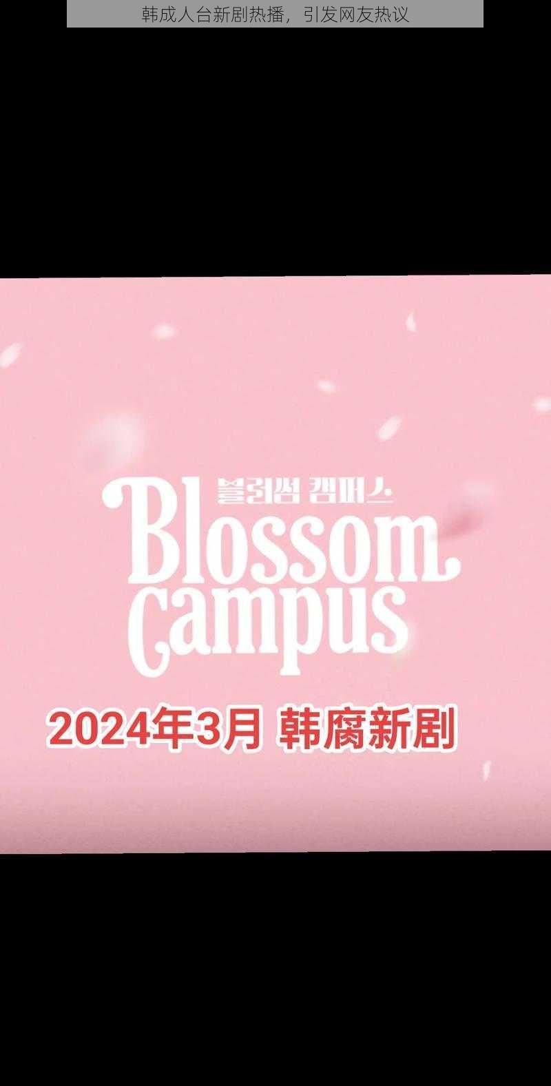 韩成人台新剧热播,引发网友热议