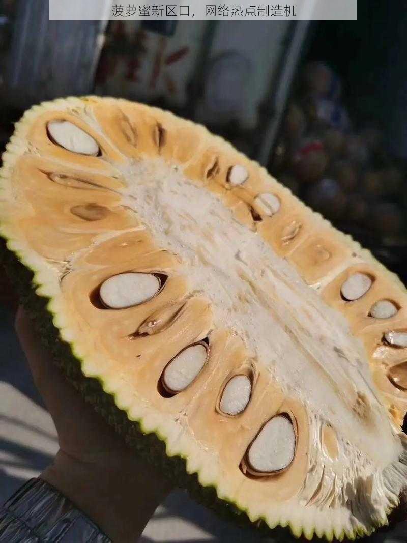 菠萝蜜新区口,网络热点制造机