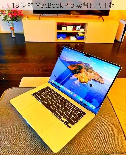 18 岁的 MacBook Pro 卖肾也买不起