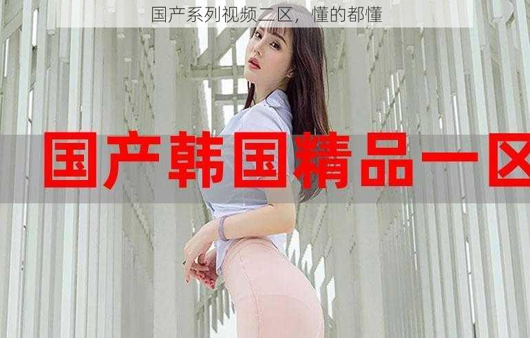 国产系列视频二区,懂的都懂