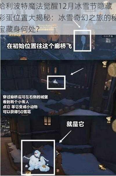 哈利波特魔法觉醒12月冰雪节隐藏彩蛋位置大揭秘:冰雪奇幻之旅的秘宝藏身何处?