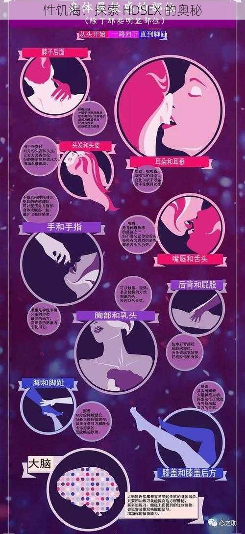 性饥渴:探索 HDSEX 的奥秘