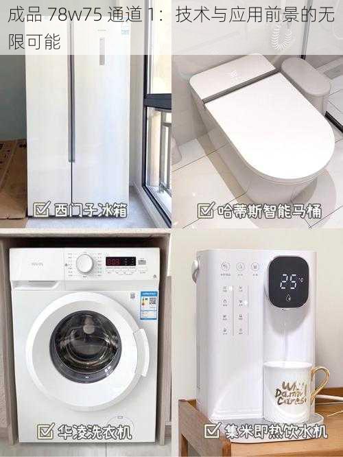 成品 78w75 通道 1:技术与应用前景的无限可能