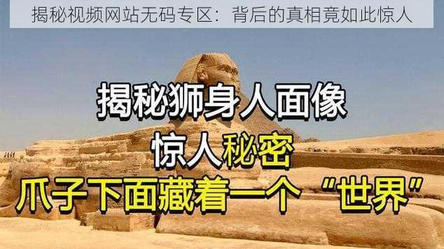 揭秘视频网站无码专区:背后的真相竟如此惊人