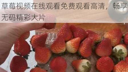 草莓视频在线观看免费观看高清,畅享无码精彩大片