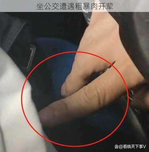 坐公交遭遇粗暴肉开荤