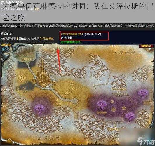 大德鲁伊莉琳德拉的树洞:我在艾泽拉斯的冒险之旅