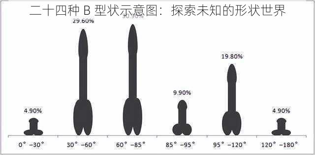 二十四种 B 型状示意图:探索未知的形状世界
