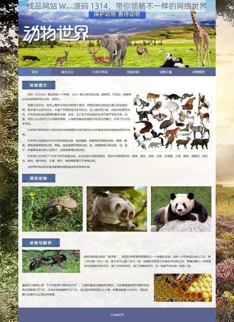 成品网站 W灬源码 1314,带你领略不一样的网络世界