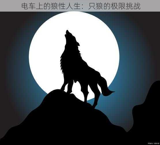 电车上的狼性人生:只狼的极限挑战