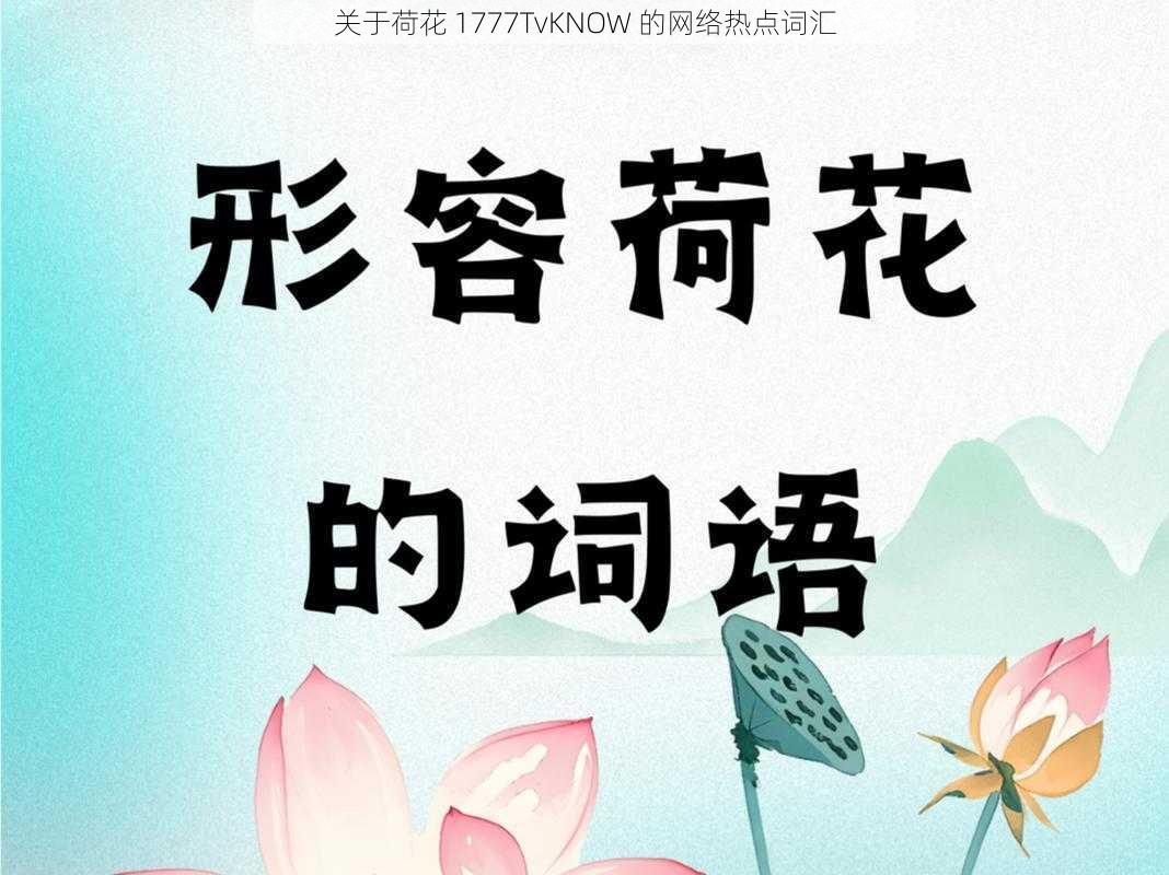 关于荷花 1777TvKNOW 的网络热点词汇