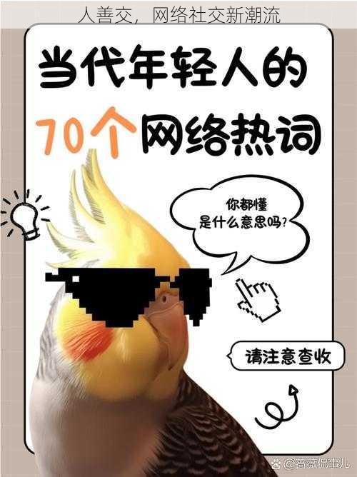 人善交,网络社交新潮流