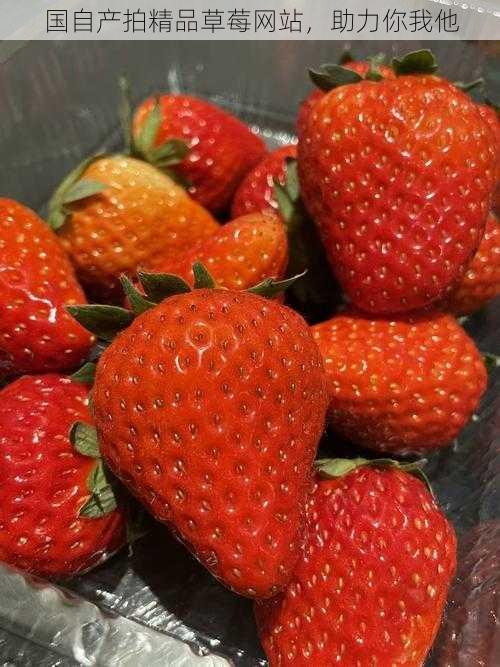 国自产拍精品草莓网站,助力你我他