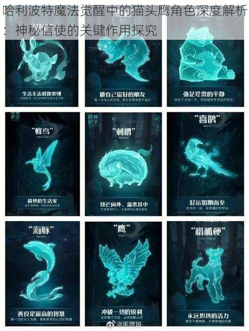 哈利波特魔法觉醒中的猫头鹰角色深度解析:神秘信使的关键作用探究