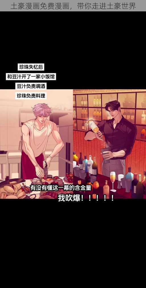 土豪漫画免费漫画,带你走进土豪世界