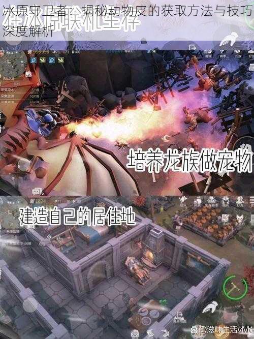 冰原守卫者:揭秘动物皮的获取方法与技巧深度解析