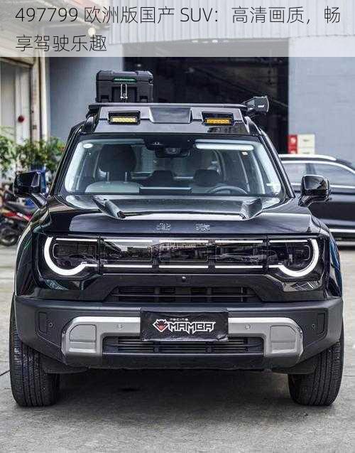 497799 欧洲版国产 SUV:高清画质,畅享驾驶乐趣