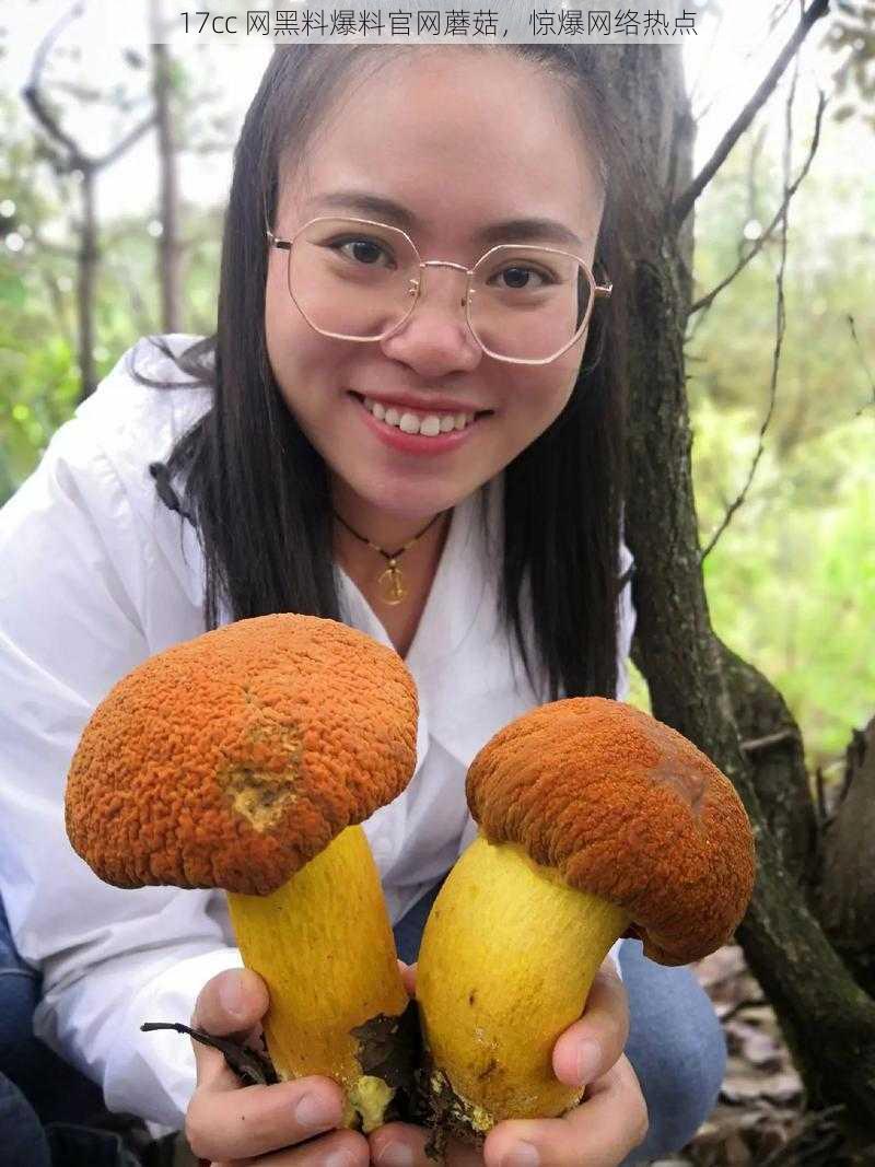 17cc 网黑料爆料官网蘑菇,惊爆网络热点