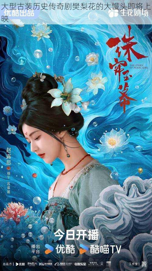 大型古装历史传奇剧樊梨花的大馒头即将上映