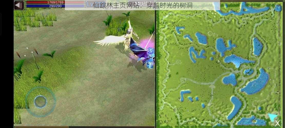 仙踪林主页网站:穿越时光的树洞